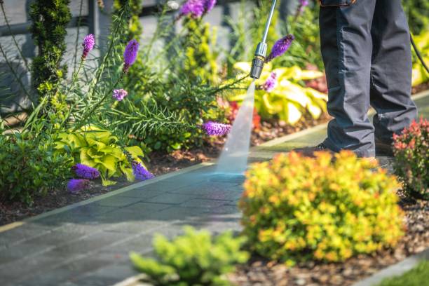 Best Fence Cleaning  in Winter Beach, FL